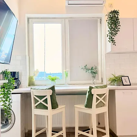 Spotlight - Modern And Stylish *