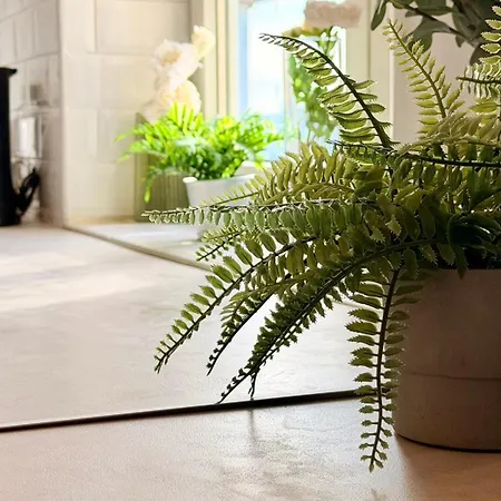Spotlight - Modern And Stylish *