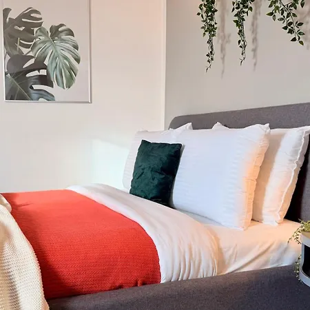 Spotlight - Modern And Stylish *