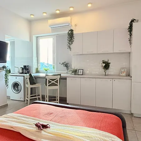 Spotlight - Modern And Stylish *